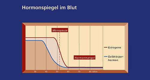 wechseljahre_-_ursache_-_hormonspiegel.jpeg 